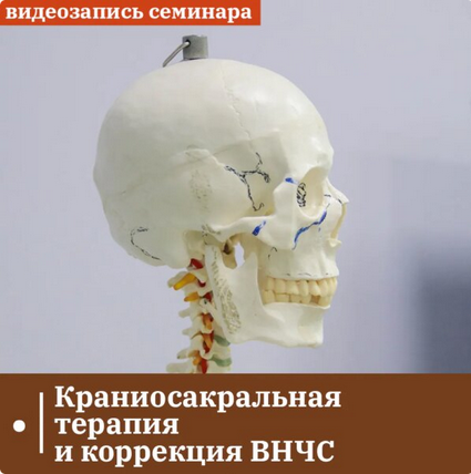 [Григорий Крутов] Краниосакральная терапия и корре_0.png